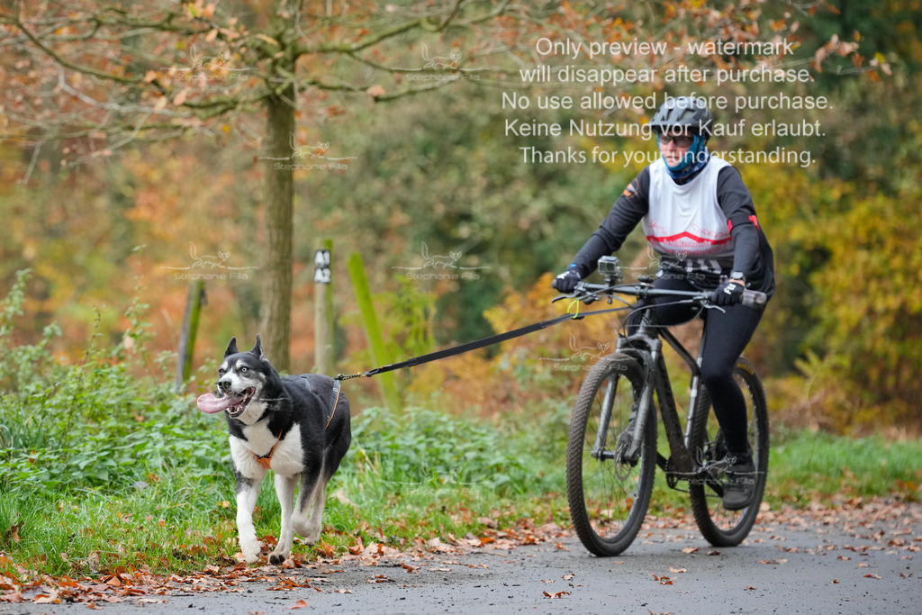 Bike_So-186 | stephaniefillaphotographie - Realisiert mit Pictrs.com