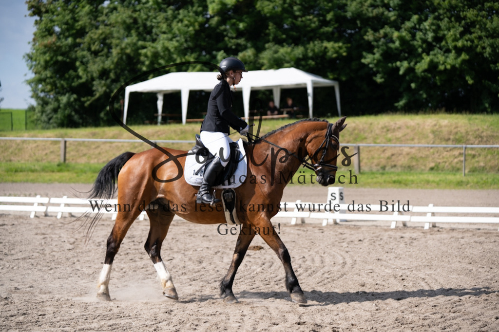 A7V02507 | Pferdefotograf