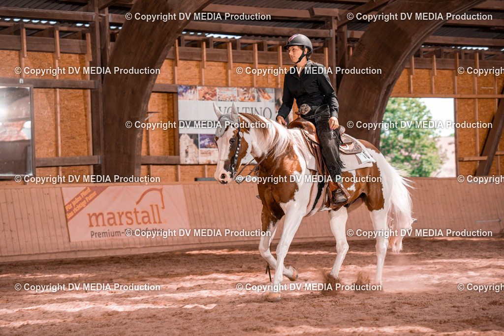 NE100816 | dv-media-shop - Realisiert mit Pictrs.com