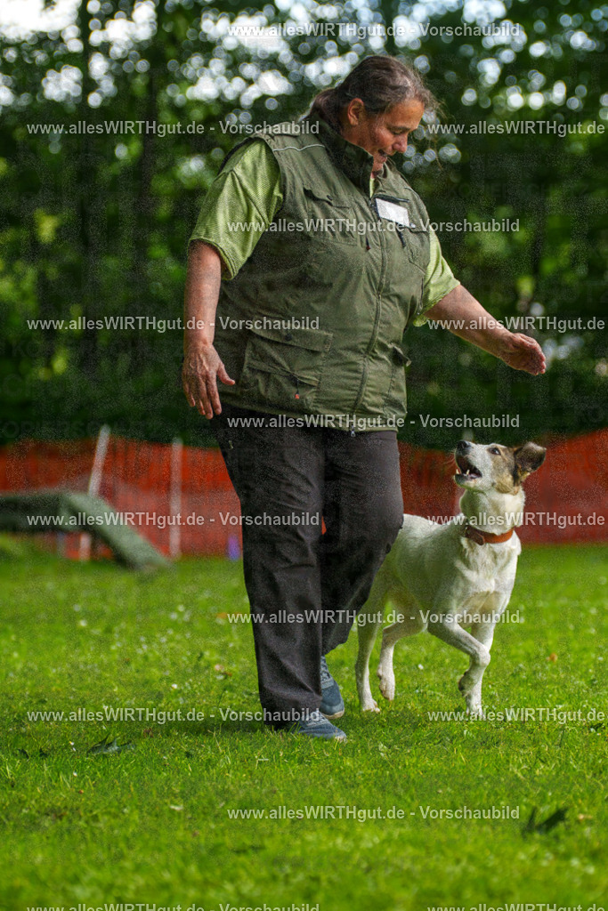 @allesWIRTHgut_Tierfotografie - www.allesWIRTHgut.de - 122951-7R509015 | Professionelle Tierfotografie in Mönchengladbach von Daniel Wirth (allesWIRTHgut). Liebevolle & natürliche Bilder von Hunden & Katzen für unvergessliche Erinnerungen.