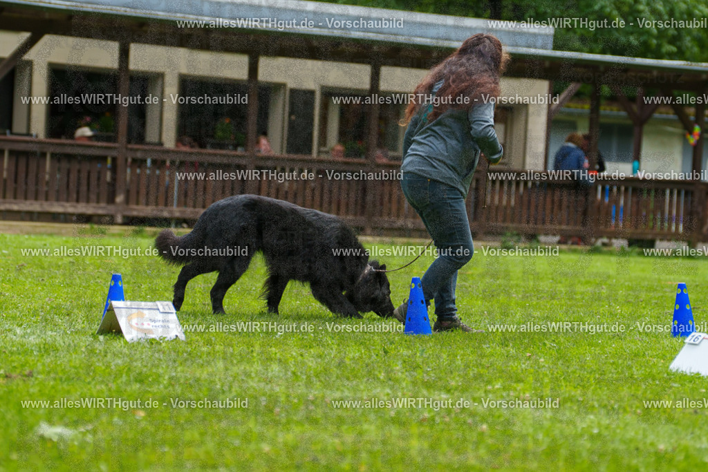 @allesWIRTHgut_Tierfotografie - www.allesWIRTHgut.de - 7R501716 | Professionelle Tierfotografie in Mönchengladbach von Daniel Wirth (allesWIRTHgut). Liebevolle & natürliche Bilder von Hunden & Katzen für unvergessliche Erinnerungen.