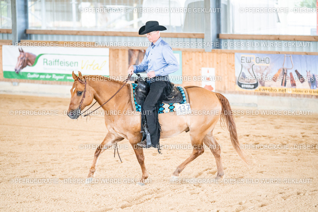 DSC01854 | Pferdegrafie