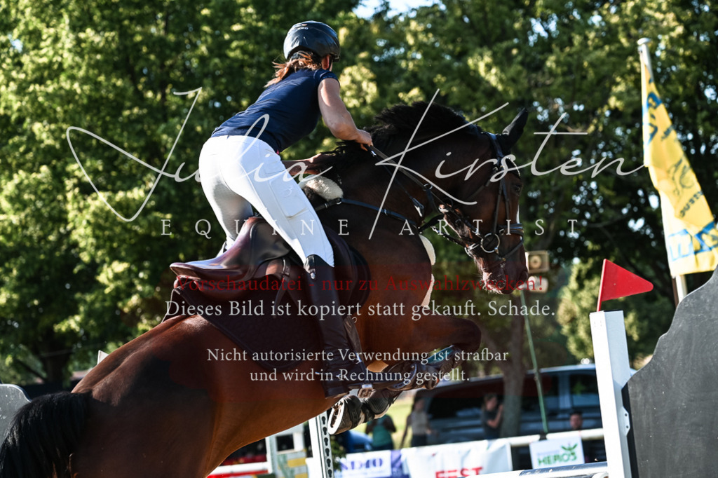 DSC_2888 | Pferde- und Turnierfotografie in Westsachsen. Pferdeportraits, Auftragszeichnungen und intuitive Kunst.