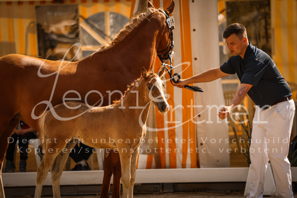 10.DoRP00167 | Leoni Ertmer Photography - Realisiert mit Pictrs.com