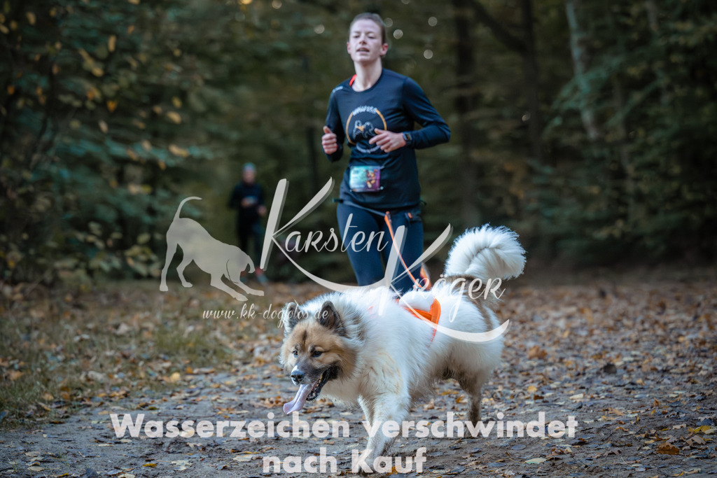0829_ZZ94616 | kk-dogfotos
