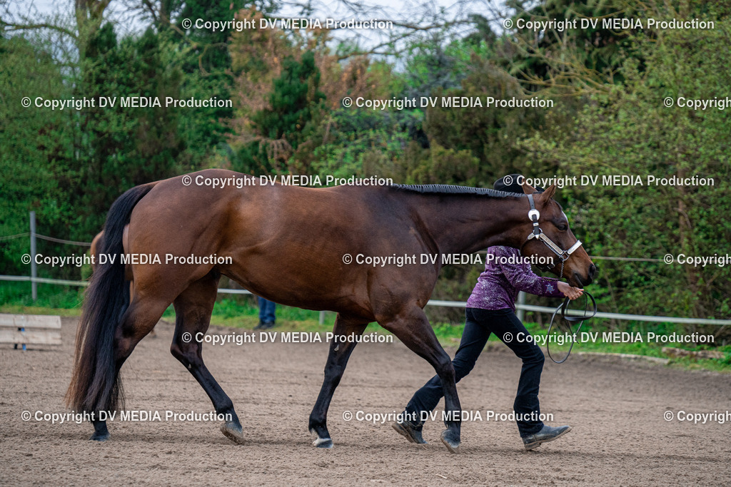 BA300019 | dv-media-shop - Realisiert mit Pictrs.com