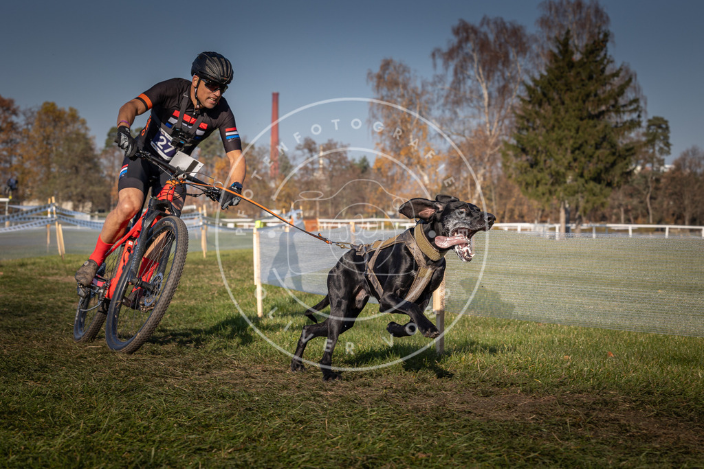 CaniXpix_0L8A6530 | Hundefotografie, Tierfotograf, Pfotenfotografie, Fotoshooting Hund, Hunde Portrait, Hundesport, Hundeportraits, Heideshooting, Hunde, Sportfotograf, Hundefotograf, Turnierhundsport, THS,  - Realisiert mit Pictrs.com