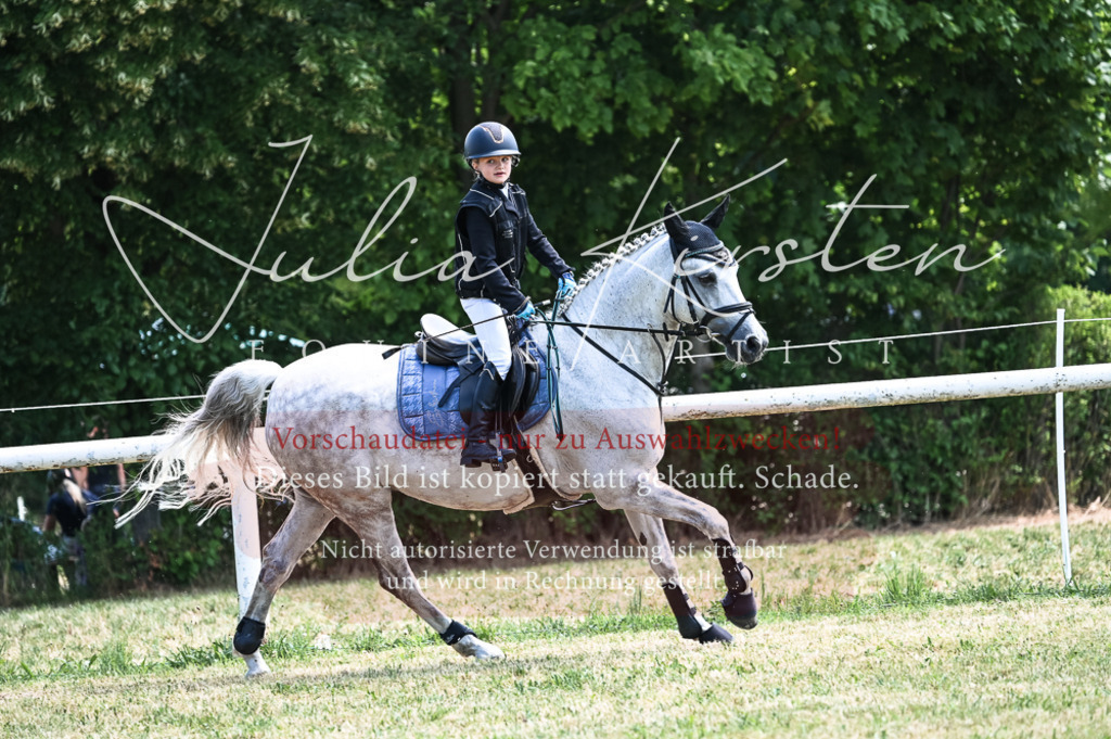 DSC_9827 | Pferde- und Turnierfotografie in Westsachsen. Pferdeportraits, Auftragszeichnungen und intuitive Kunst.