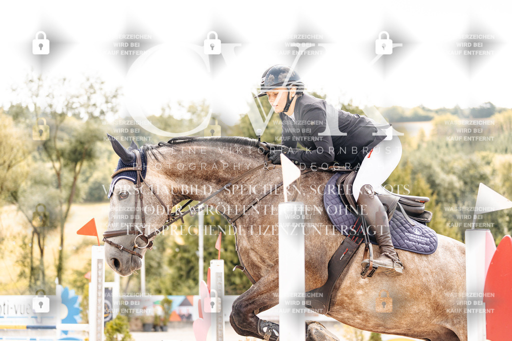 CK909003 | Turnierfotografie Pferdefotografie Trier Rheinland-Pfalz Pferdesport Reitsport Tierfotografie Sportfotografie Pferdevideo Pferdevideografie Equestrianvideography equestrianphotography  - Realisiert mit Pictrs.com
