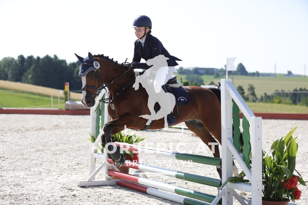 0P6A7558 | Willkommen bei Brunnmayr - Design & Fotografie – Ihrem Spezialisten für Reitturniere und Pferdeveranstaltungen in Oberösterreich, Salzburg und Bayern! Seit über 17 Jahren sind wir leidenschaftlich dabei.