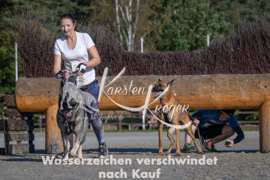 1048-_ZZ92775 | kk-dogfotos