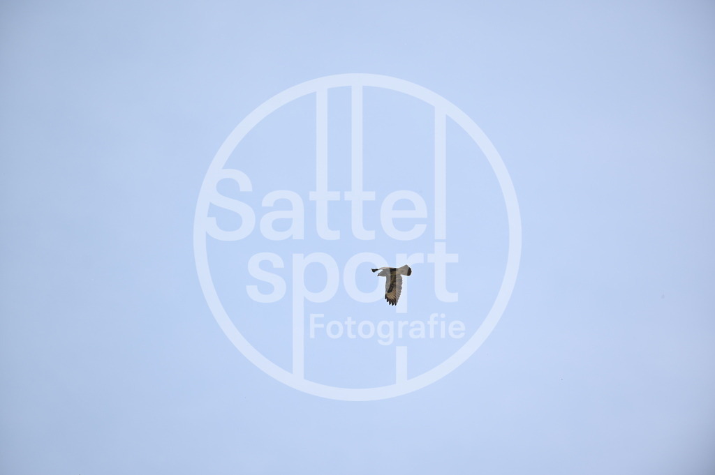 DSC_4567 | sattelsport - Realisiert mit Pictrs.com