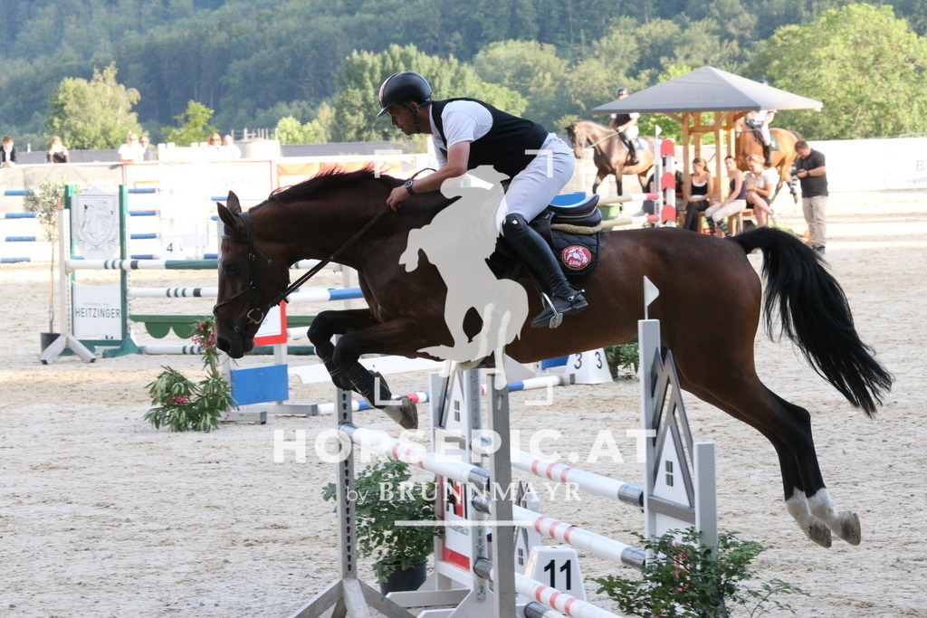 PP018698 | Willkommen bei Brunnmayr - Design & Fotografie – Ihrem Spezialisten für Reitturniere und Pferdeveranstaltungen in Oberösterreich, Salzburg und Bayern! Seit über 17 Jahren sind wir leidenschaftlich dabei.