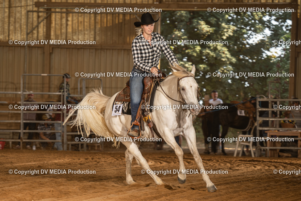 NID03808 | dv-media-shop - Realisiert mit Pictrs.com