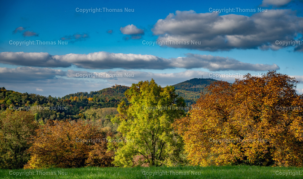 Herbst-Impressionen-Bergstrasse-34 | bbe,bre, Bensheim, Herbst an der Bergstraße, goldener Oktober, auf dem Höhenweg Blick hinüber zum Auerbacher Schloss und dem Melibokus, ,, Bild: Thomas Neu