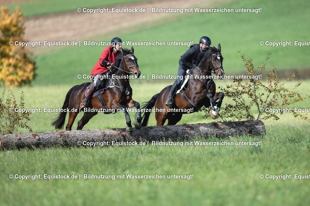20251011_Jagd-Marbach_0203 | Foto: Thomas Hartig