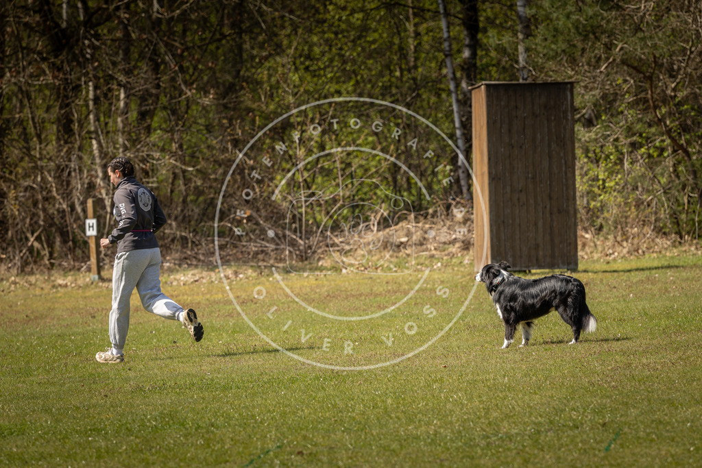 Pfotenfotografie_DV3A1088 | Hundefotografie, Tierfotograf, Pfotenfotografie, Fotoshooting Hund, Hunde Portrait, Hundesport, Hundeportraits, Heideshooting, Hunde, Sportfotograf, Hundefotograf, Turnierhundsport, THS,  - Realisiert mit Pictrs.com