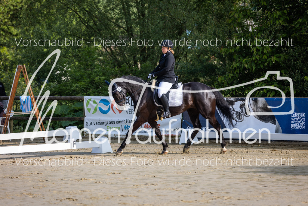 Donop24-A-Dre-002 | MomenTaufnahmen Pferdesportfotos