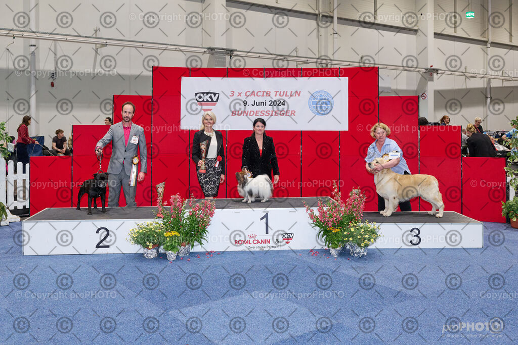 202406_ÖKV-IHA-Tulln24_NZ9_9462 | proPHOTO - Realisiert mit Pictrs.com