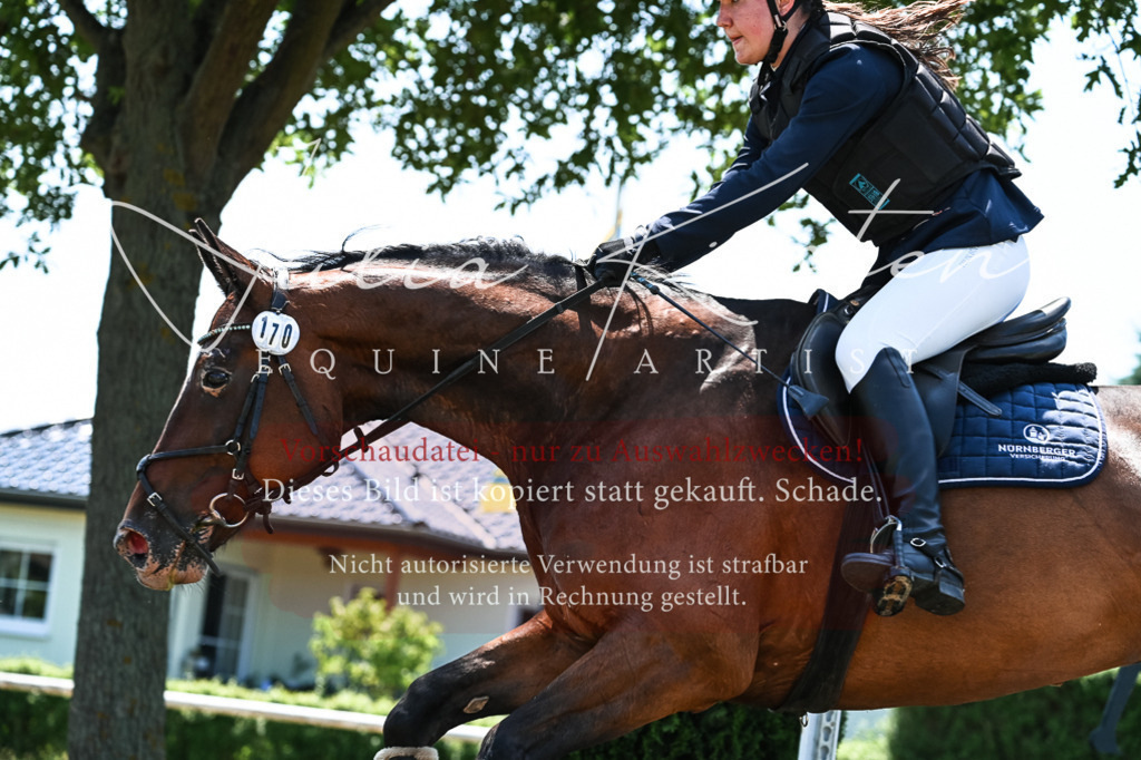 DSC_9973 | Pferde- und Turnierfotografie in Westsachsen. Pferdeportraits, Auftragszeichnungen und intuitive Kunst.