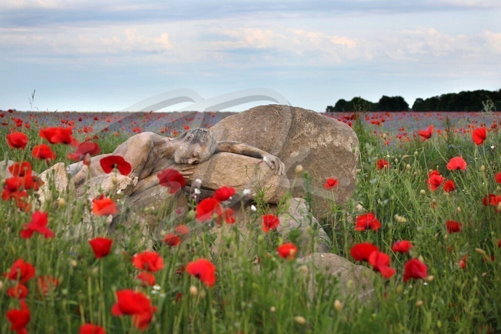 NatureArt-MOHNSTEINE_9822 | Roter Mohn umringt die Felsen | #006 | Modell: Lea | Foto: Sandra Diersche-Schwamm - Realisiert mit Pictrs.com