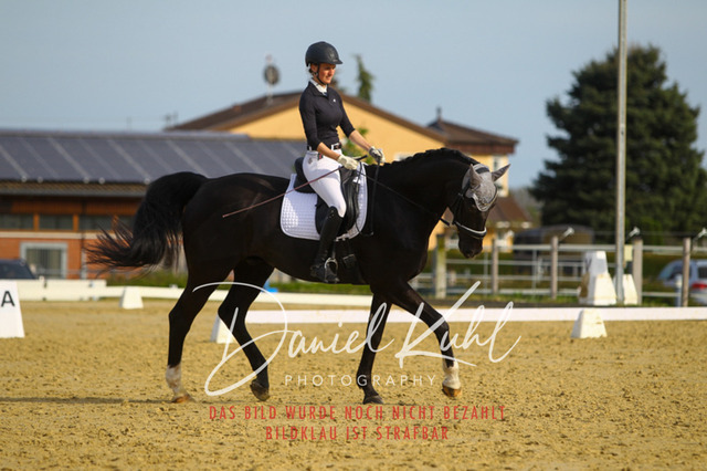 DKP43415 | Turniersportfotografie; Pferdefotografie; Dressurfotografie