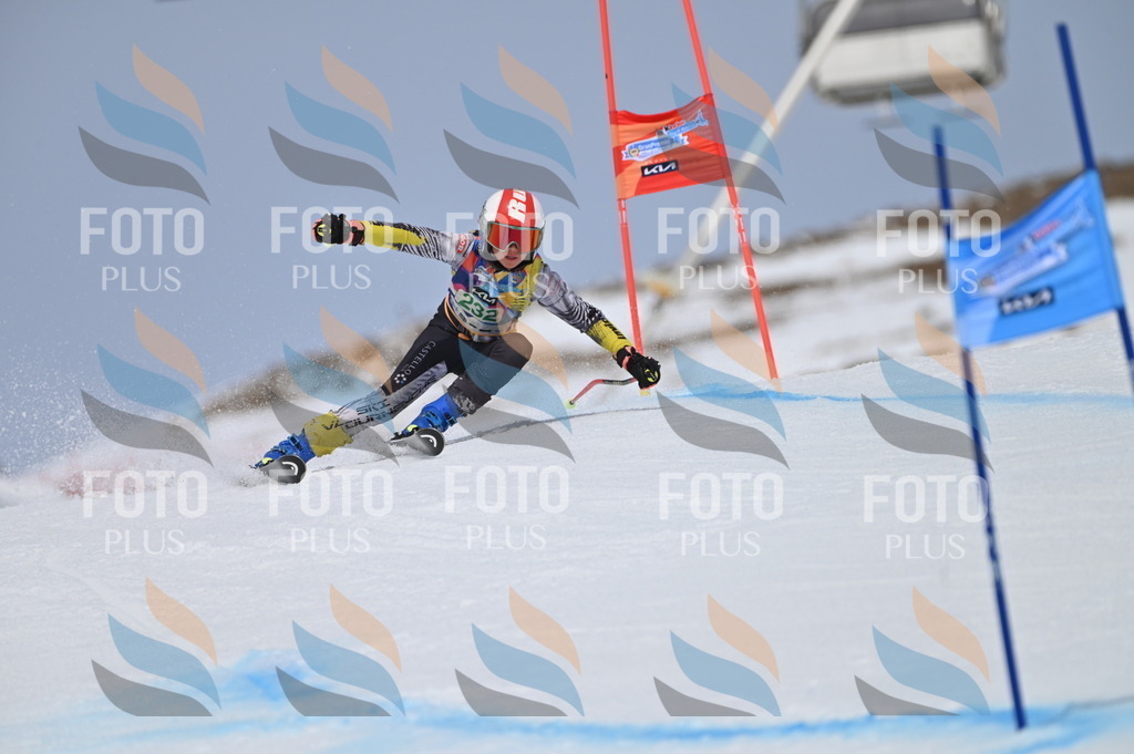 BGV_4591 | holidayphoto