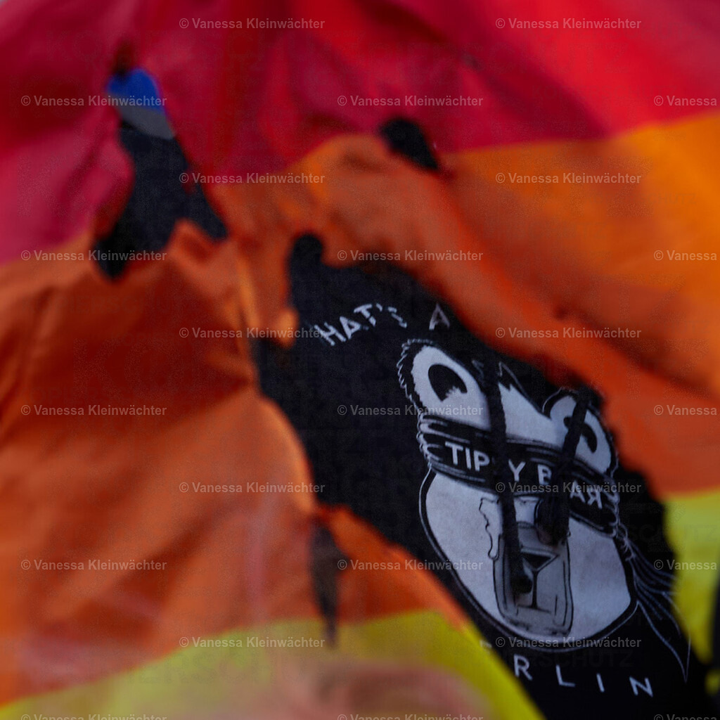 250506_TipsyBearSoli_43 | Vanessa Kleinwächter - Realisiert mit Pictrs.com