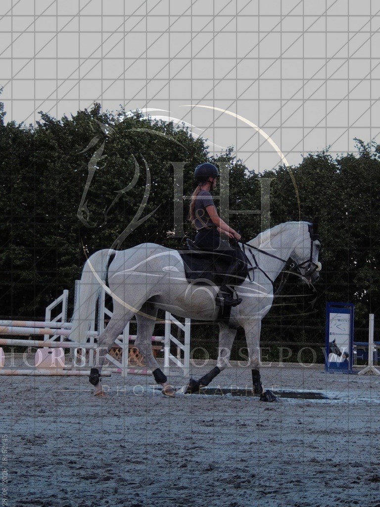 1787943165___C0570227 | handhphotographie - Realisiert mit Pictrs.com