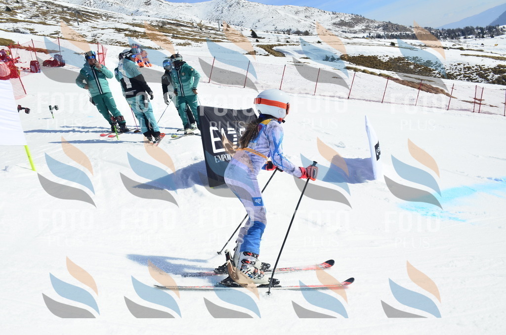 _ELE0778 | holidayphoto