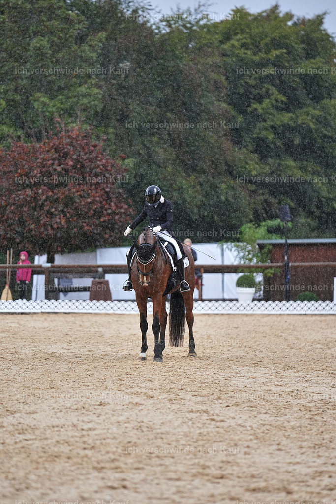 8_2-149-DRESSUR S_  -Marixx-4618 | working equitationturnier fotograf videograf stoibphotography marixx film working equitation deutschland reitsport turnierfotografie eventfotografie equestrian events