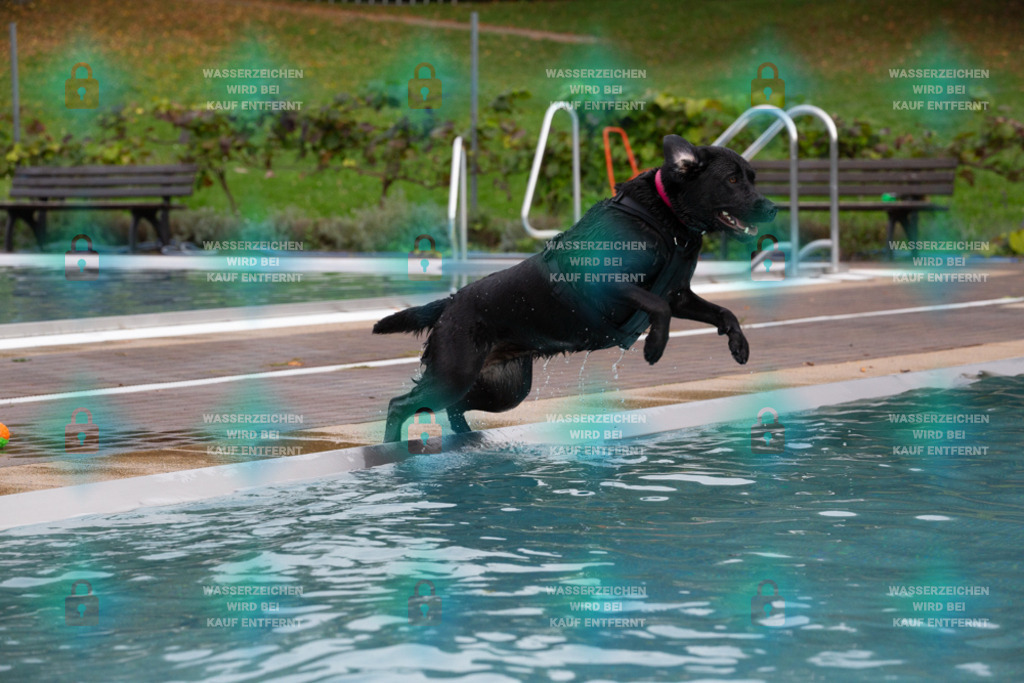 _HP_7525_1000o | HetPix, HetPix Fotodesign, Fotografie, Fotodesign, Webshop, Sportfotografie, Portraitfotografie, Onlineshop, Sportfotografie, Polch, Motorsportfotografie, Eventfotografie