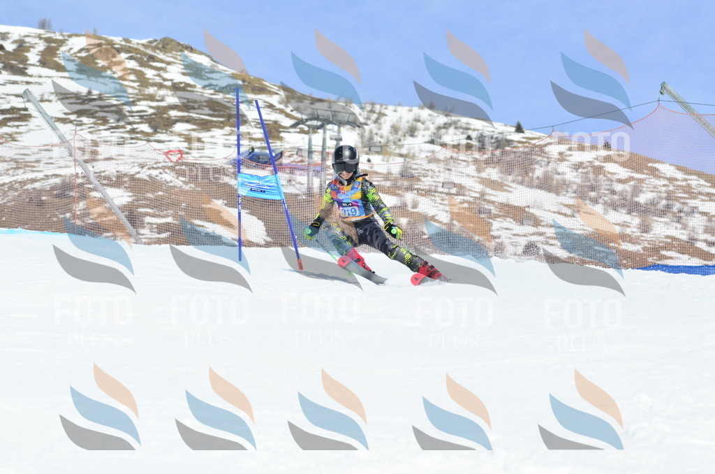 _ELE2443 | holidayphoto