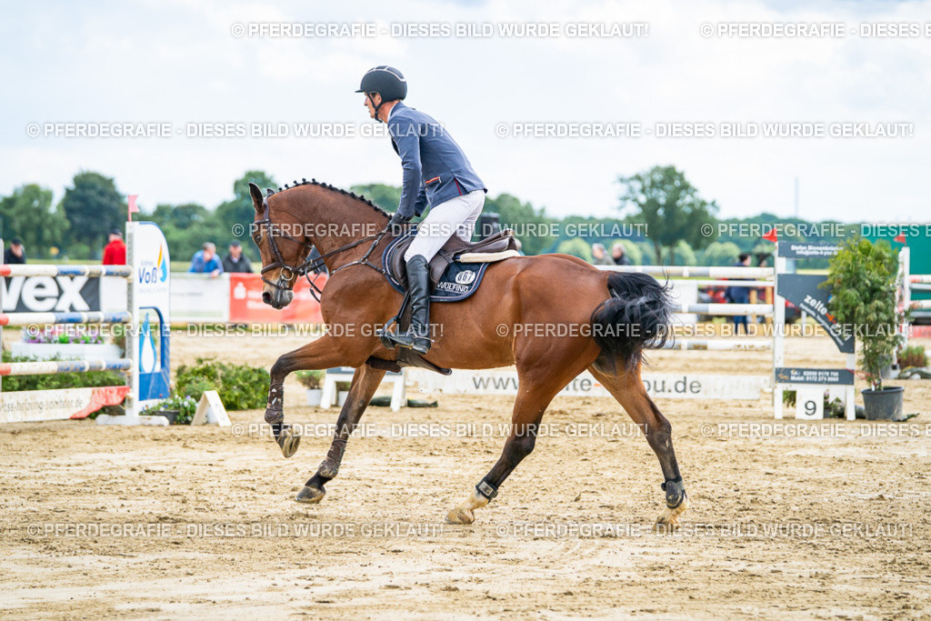 DSC06153 | Pferdegrafie