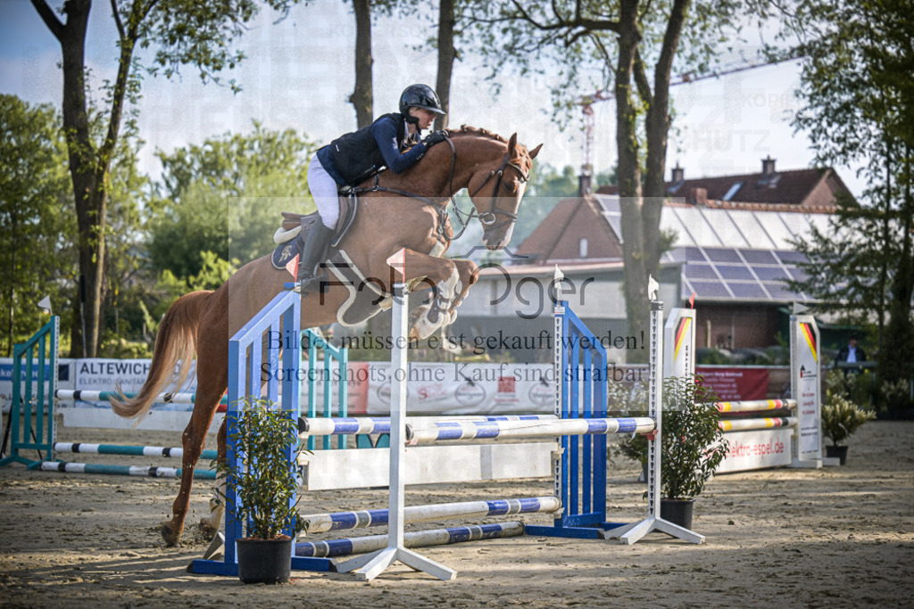 DOS_3890 | Entdecke hochwertige Reitturnierfotos von Foto Oger. Professionell, emotional und authentisch – jetzt Lieblingsmomente im Shop bestellen.Deutschlandweite Turnierfotografie. - Realisiert mit Pictrs.com