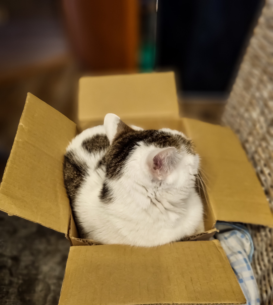 PSX_20230123_215458 | mtkfoto_ - Realisiert mit Pictrs.com