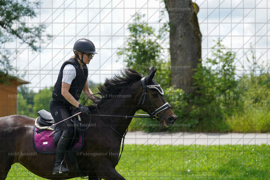20240622-FAH07529 | Turnierfotografen Bayern, Reitsportbilder aus dem Geländekurs mit Felix Etzel auf dem Gut Waitzacker 2024