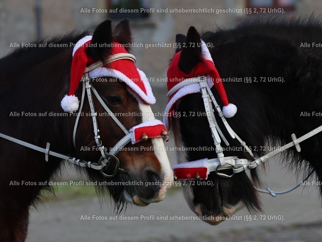 1P5A5190_2 | krollfotografie - Realisiert mit Pictrs.com