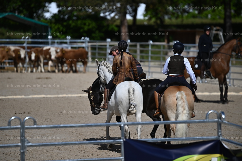 PI26_COW_Sara Landvogt226_7221.JPG | working equitationturnier fotograf videograf stoibphotography marixx film working equitation deutschland reitsport turnierfotografie eventfotografie equestrian events