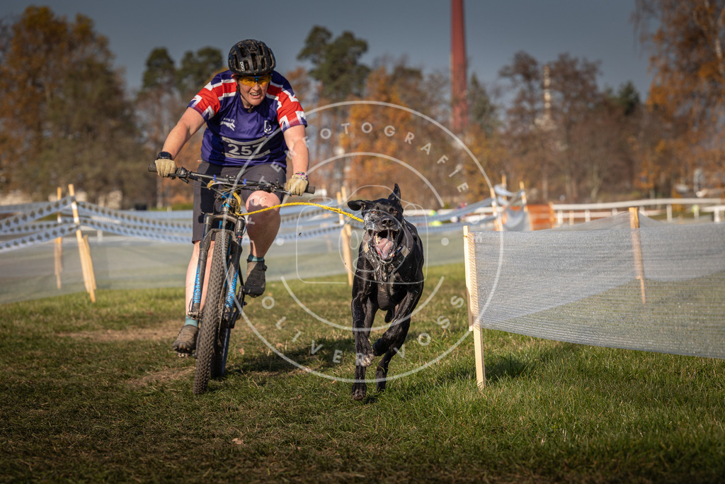 CaniXpix_0L8A7082 | Hundefotografie, Tierfotograf, Pfotenfotografie, Fotoshooting Hund, Hunde Portrait, Hundesport, Hundeportraits, Heideshooting, Hunde, Sportfotograf, Hundefotograf, Turnierhundsport, THS,  - Realisiert mit Pictrs.com