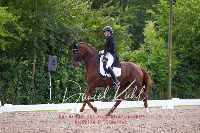 DKP41428 | Deine Turnierfotos vom Reitturnier online kaufen: Dressur, Springen & Siegerehrung. Professionelle Pferdefotografie aus dem Rheinland – als Download & Print.Alternative: Turnierfotograf für den Pferdesport: Finde deine Fotos von Dressur- und Springturnier