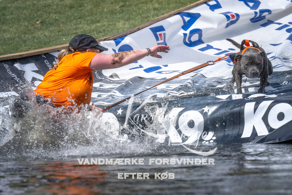 1202_ZZ94884 | kk-dogfotos