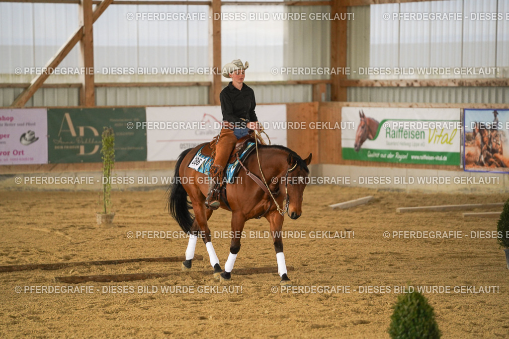 DSC04479 | Pferdegrafie