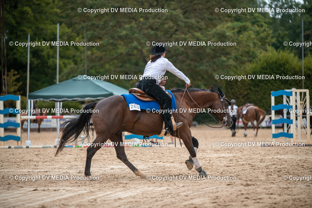 ZS2_8641 | dv-media-shop - Realisiert mit Pictrs.com