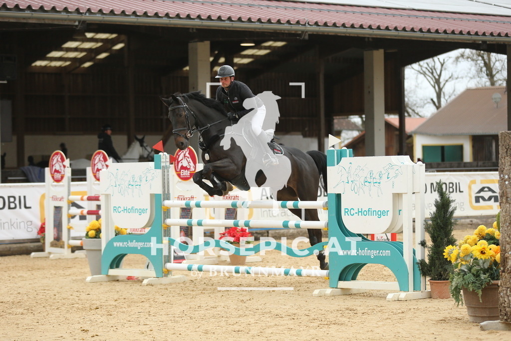 DL2Q5423 | Willkommen bei Brunnmayr - Design & Fotografie – Ihrem Spezialisten für Reitturniere und Pferdeveranstaltungen in Oberösterreich, Salzburg und Bayern! Seit über 17 Jahren sind wir leidenschaftlich dabei.