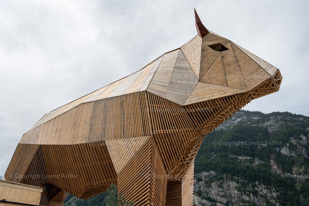 Schwingen -  ESAF Freitag Festumzug 2025 | Mollis, 29.8.25, Schwingen - ESAF Freitag Festumzug.