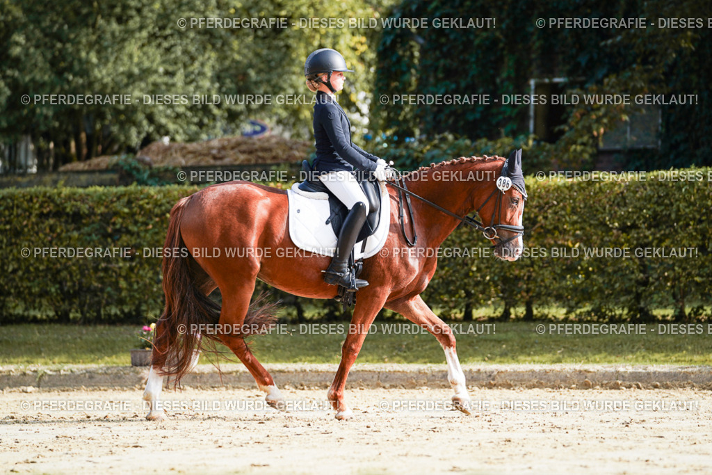 DSC05811 | Pferdegrafie