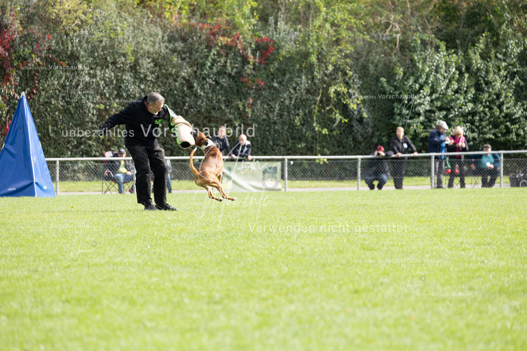 _16A5389 | Einzigartige Fotos von Hunden & Menschen –Actionfotos, Portraits, Vereinsaufnahmen & Paarshootings – authentisch, lebendig & mit Herz.