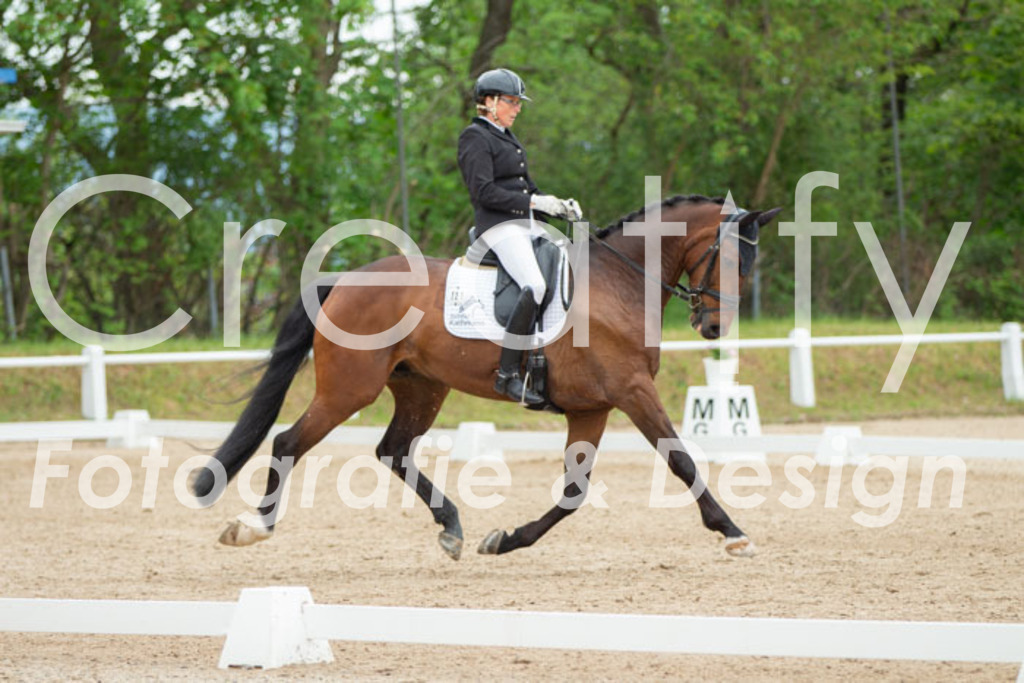 IMG_9726 | Creatify Fotografie