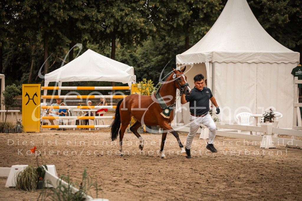 10.-12.Elite00138 | Leoni Ertmer Photography - Realisiert mit Pictrs.com